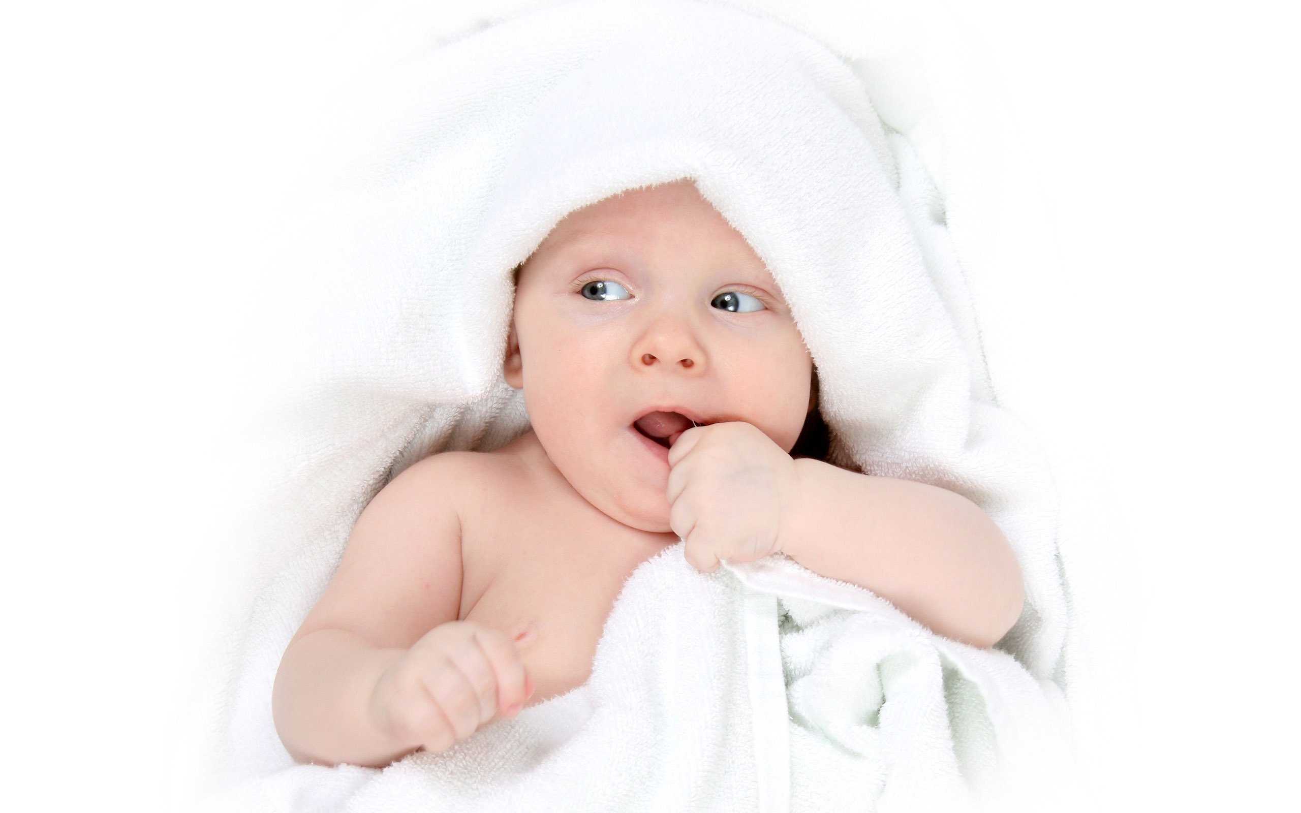 长沙有偿捐卵电话2014年试管婴儿成功率